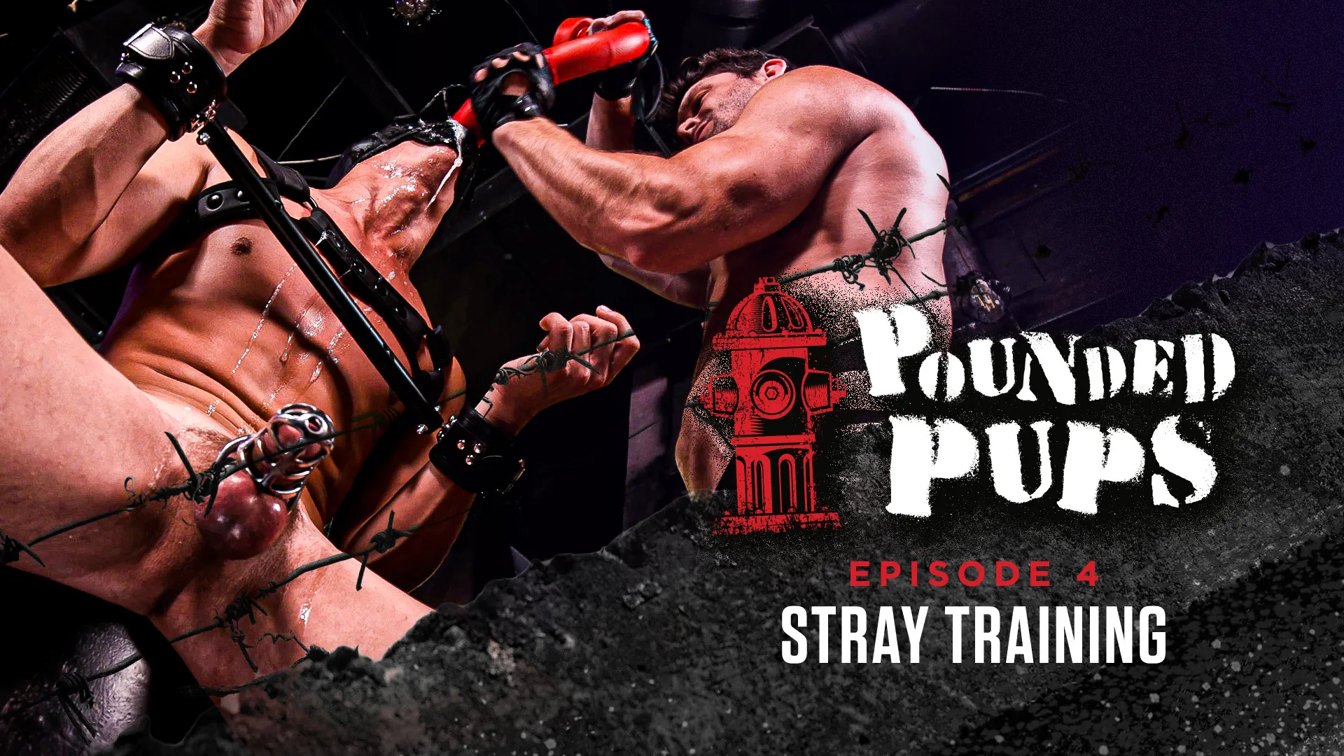 Pounded Pups - Episode 4: Stray Training