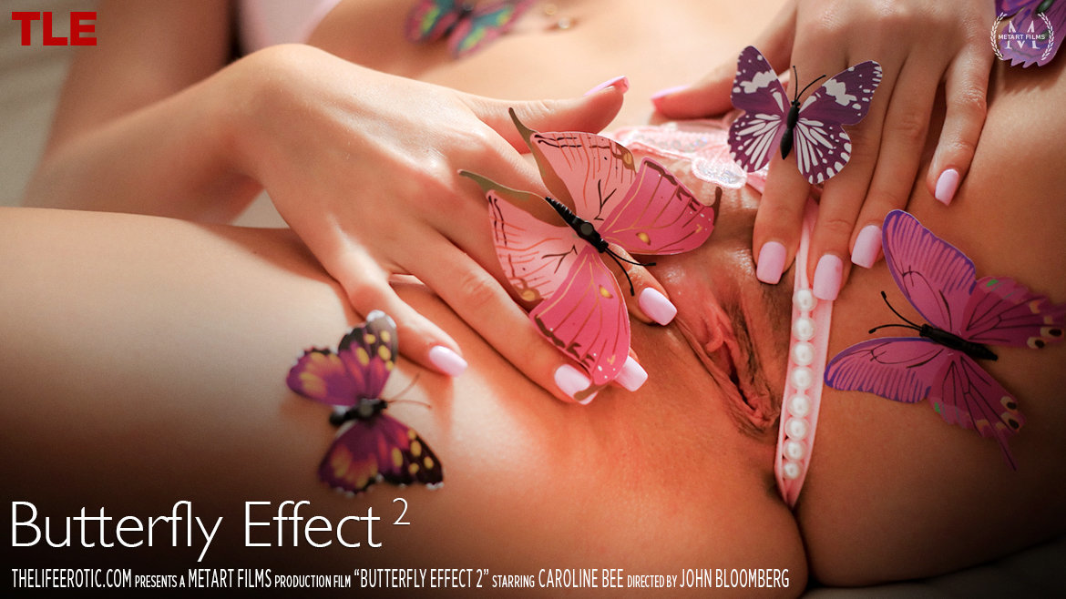 Butterfly Effect 2