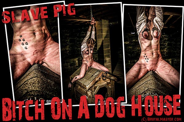 Slave Pig - Bitch On The Dog House