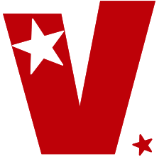Vi