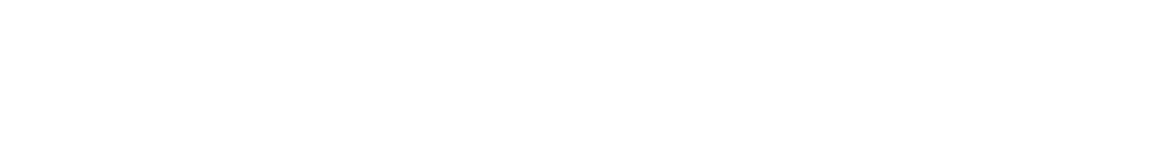 Transex Japan