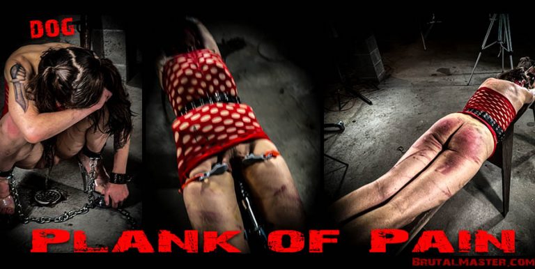 Dog - Plank of Pain