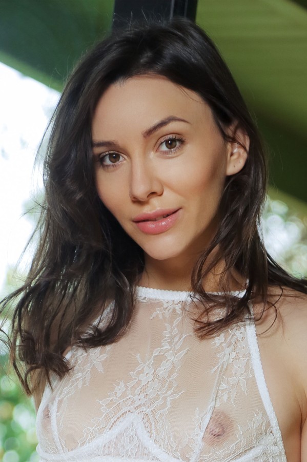 Photo HD Adel Morel - 9