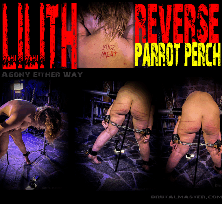 Lilith | Reverse Parrot Perch