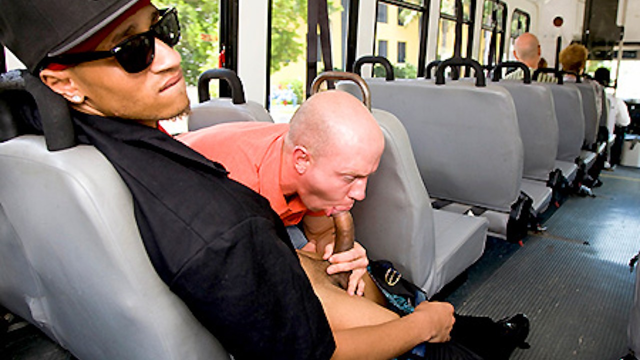 What Happens on the bus, Stays on the bus