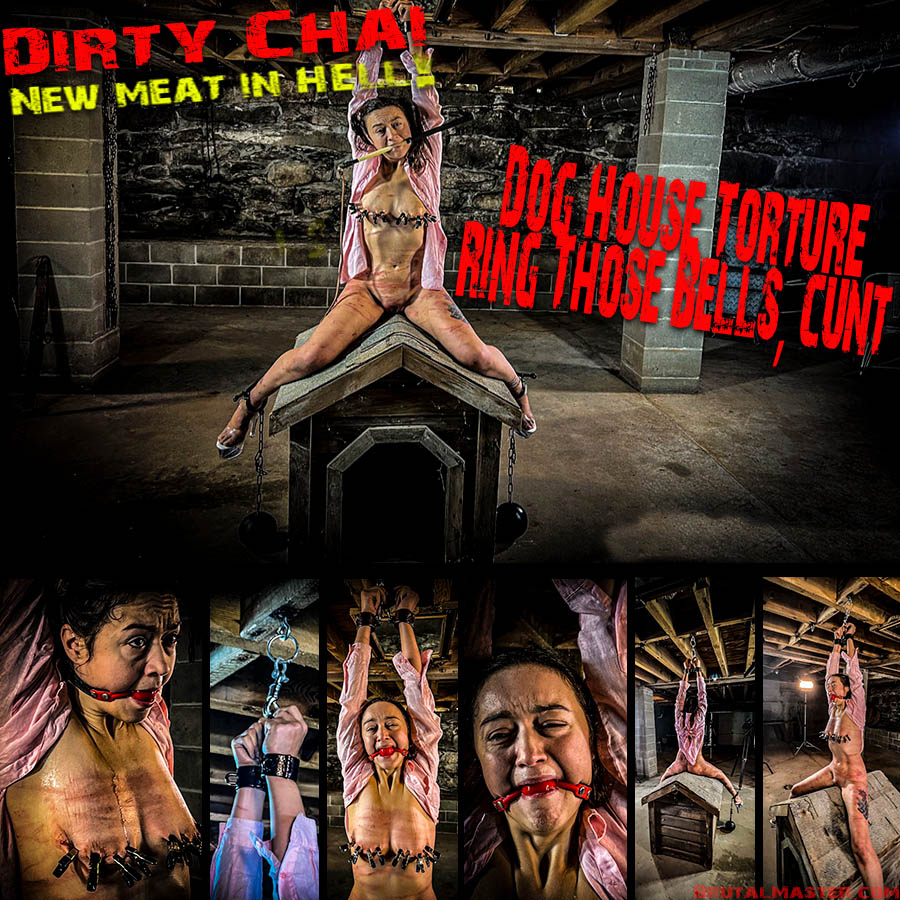 NEW MEAT IN HELL! Dirty Chai | Dog House Torture/Ring Those Bells, Cunt!