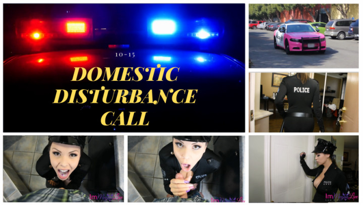 DOMESTIC DISTURBANCE CALL