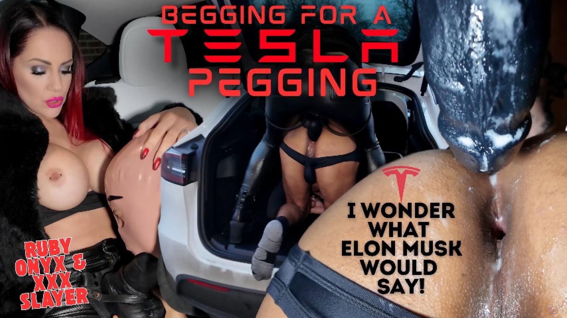 NEW CONTENT! Begging For A Tesla Pegging By Ruby Onyx