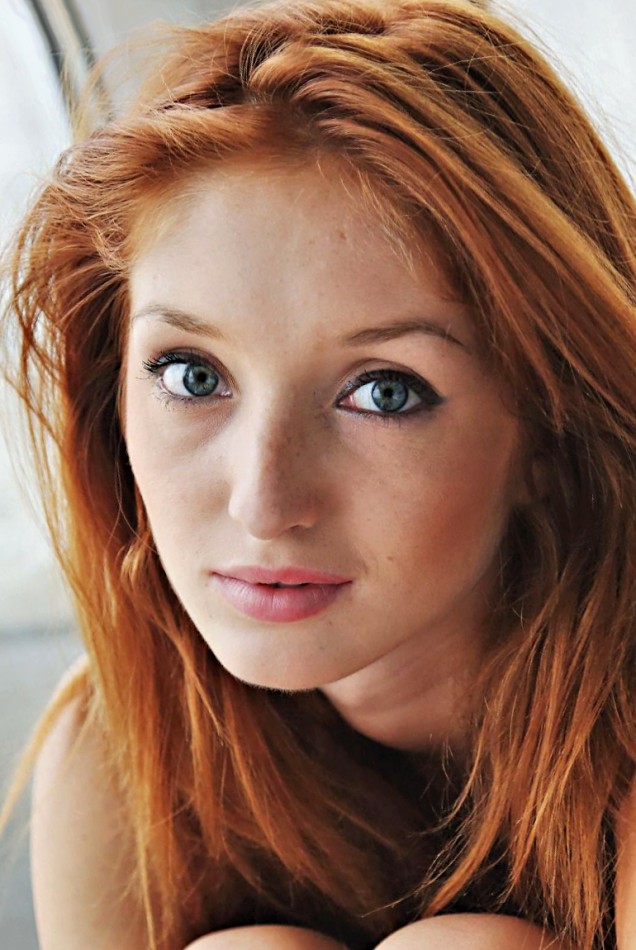 Photo HD Red Fox - 5