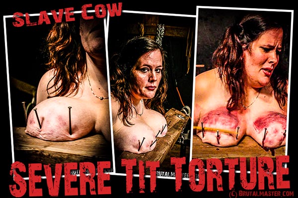Slave Cow - Severe Tit Torture