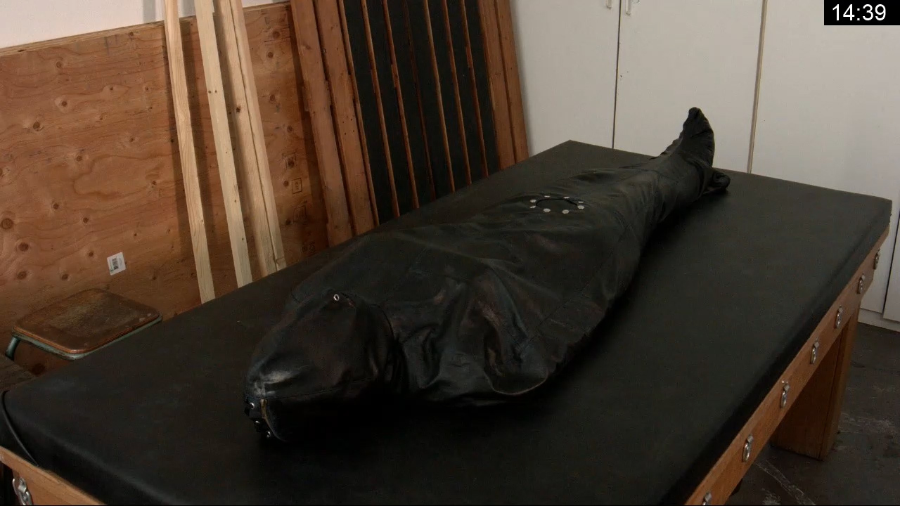 Greyhound Latex Lunch (Sleespsack Edition)