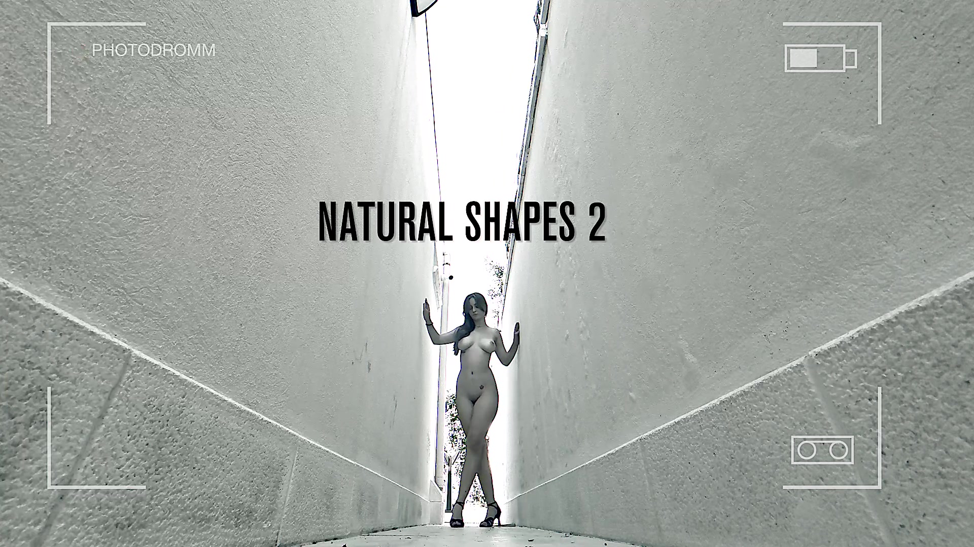 Natural Shapes 3
