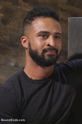 Photo HD Damian Taylor - 9