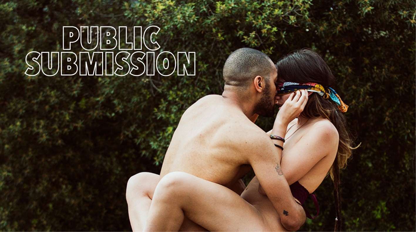 Public Submission