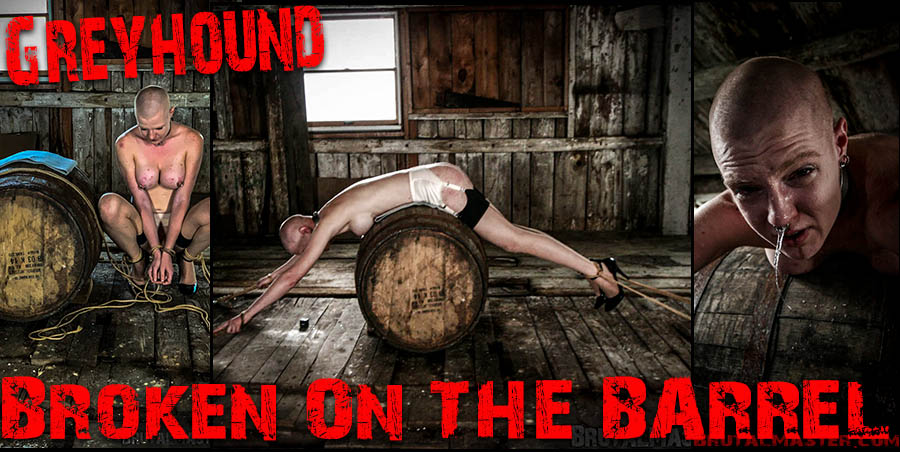 Greyhound - Broken On The Barrel