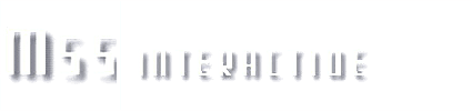 MSS Interactive