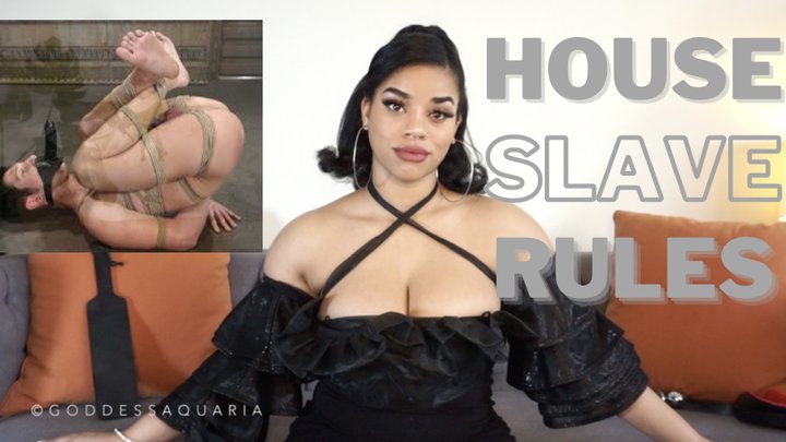 House Slave Rules