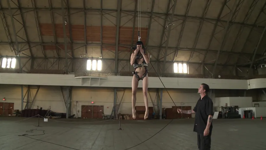 Asphyxia Noir's Drill Court Suspension