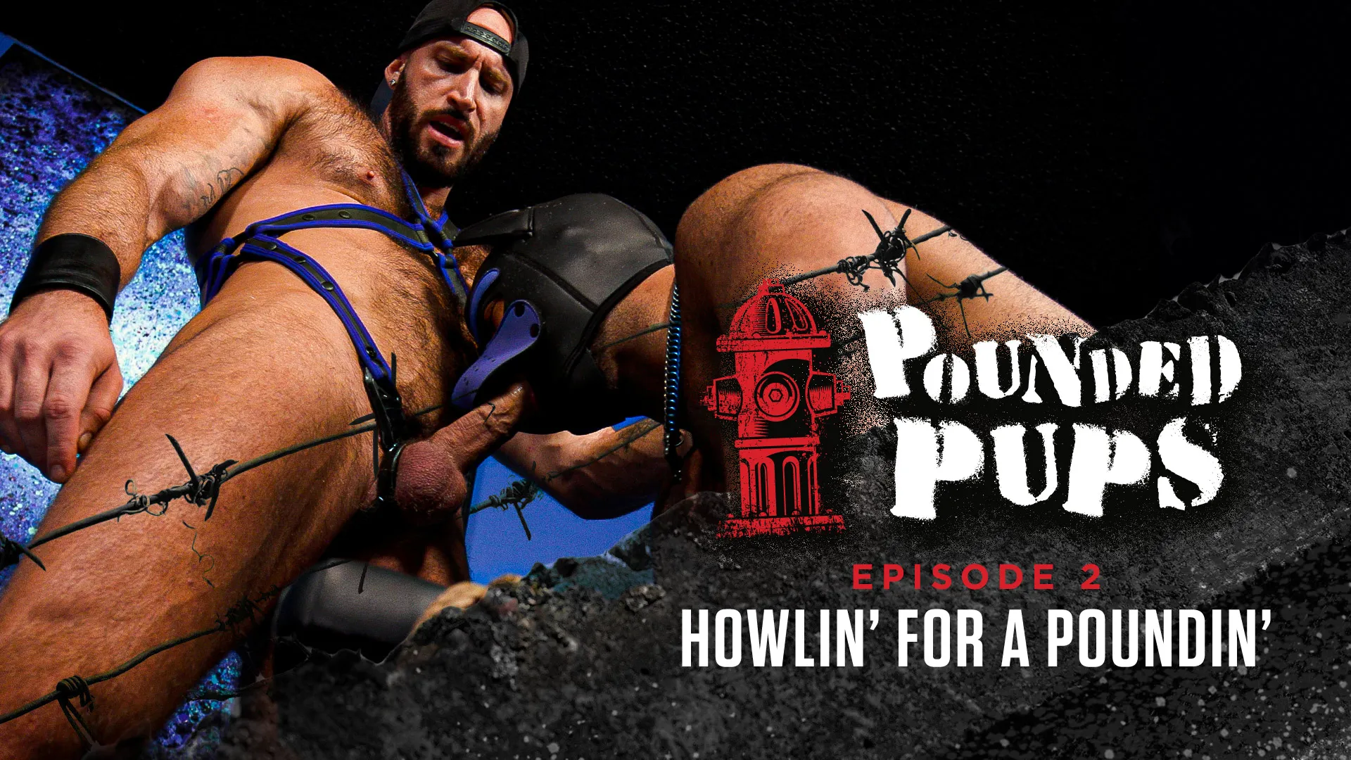 Pounded Pups - Episode 2: Howlin' For a Poundin'