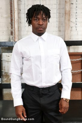 Photo HD Apollo Knight - 1