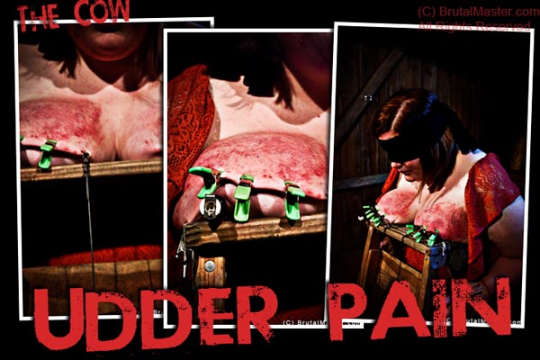Slave Cow - Udders Torture