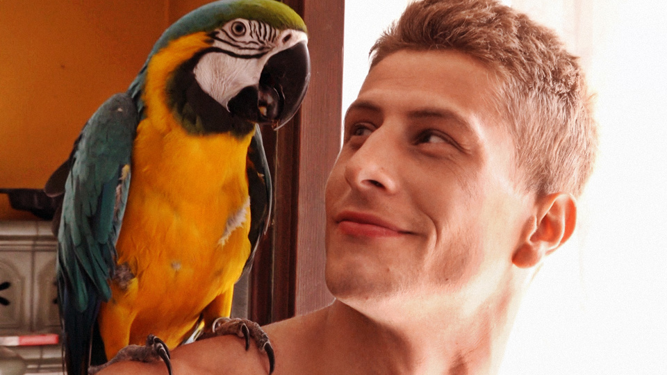 Jack's bird