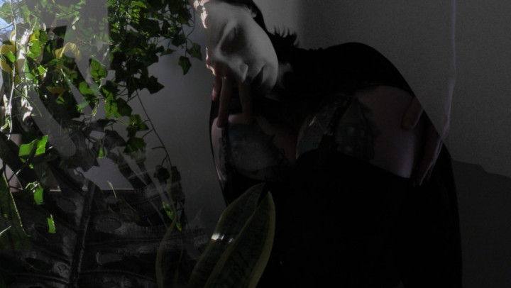 Sansevieria: Succubus Tease