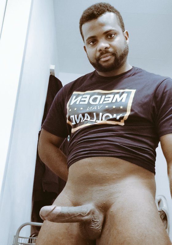 Photo HD Big Cat XL - 2