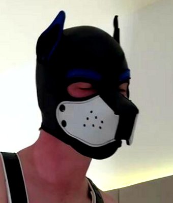 Pup Jupitar