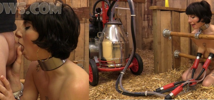 Kiki – oral training and red cow milker