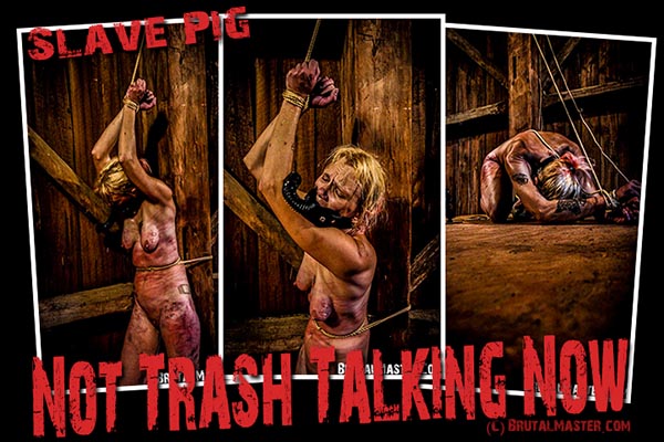 Slave Pig - No Trash Talking Now