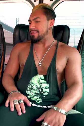 Photo HD Dodo Pitbul - 2