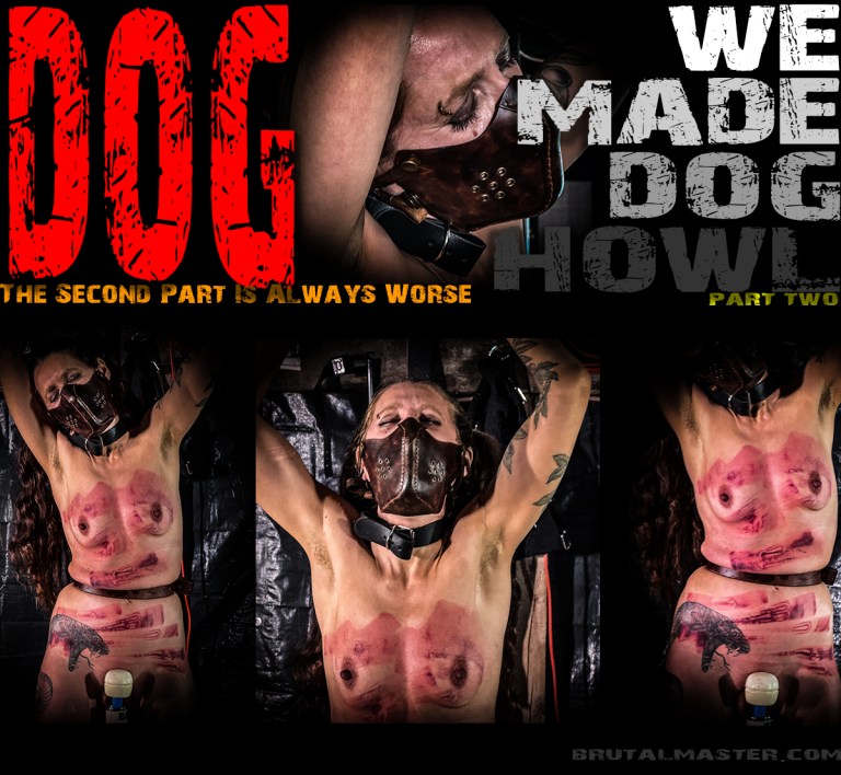Dog | WE Made Dog Howl pt 2