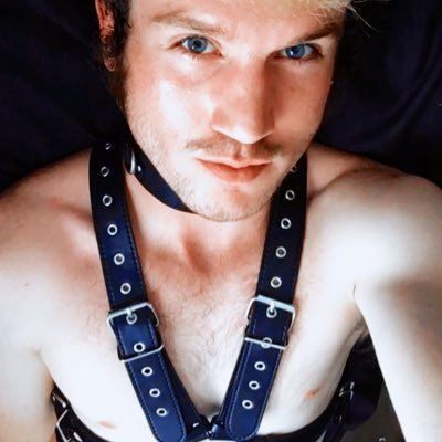 Photo HD Jasper King - 1