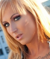 Dahlia Black Burning Angel