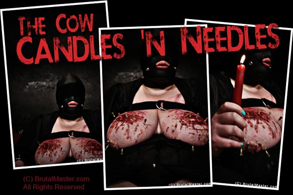 The Cow - Candles ‘N Needles