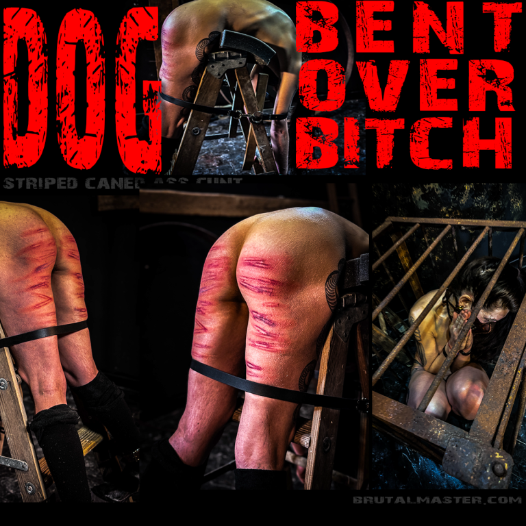Dog - Bent Over Bitch