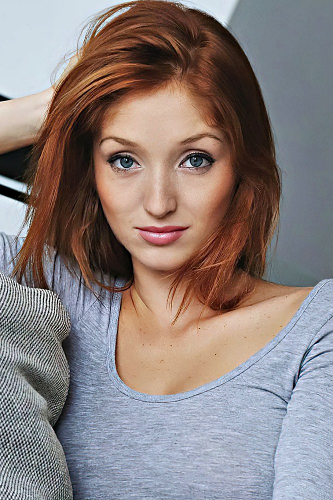 Photo HD Red Fox - 3