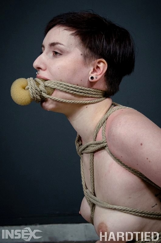 Kitty Dorian HardTied