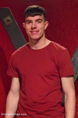 Photo HD Artemis Faux - 2