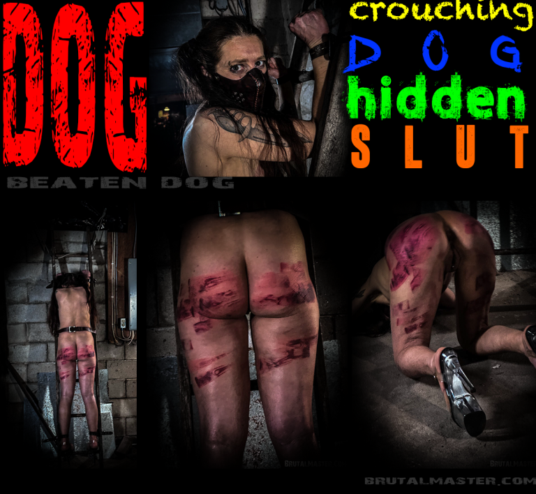 Dog | Crouching Dog Hidden Slut