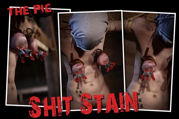 The Pig - Shit Stain