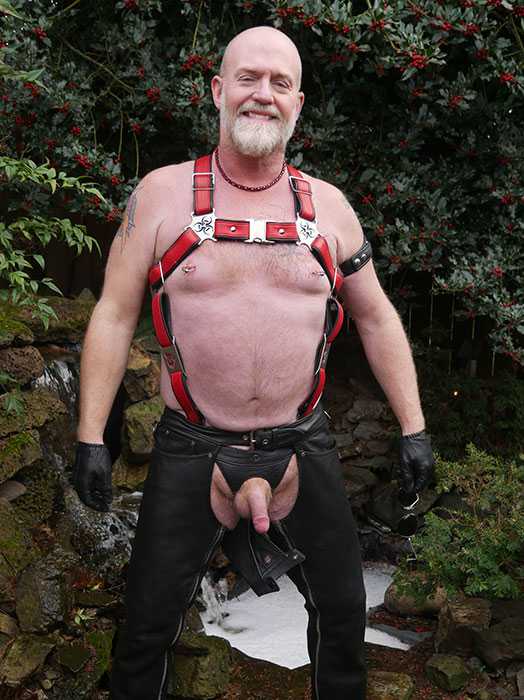 Steve Ellis Monster Cub