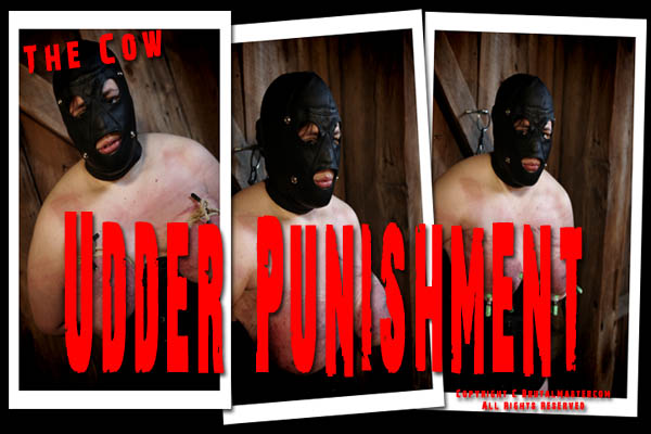 Cow - MeatbagsO’Pain 2