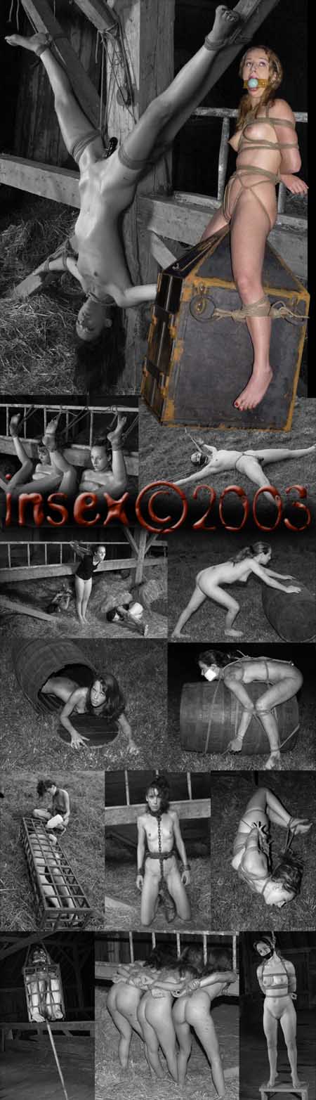 Livestock