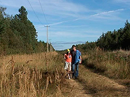 Casual country sex in the open