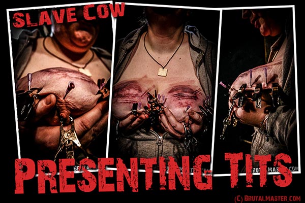 Slave Cow - Presenting Tits