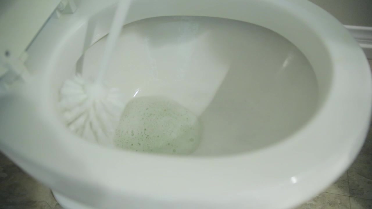 Day In Total Enclosure Part 3