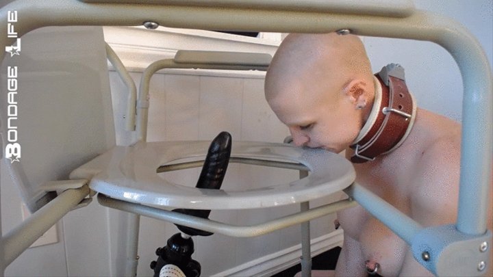 Dildo Training (Fucking Machine Edition)