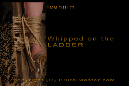 Leahnim - Whipped on the Ladder